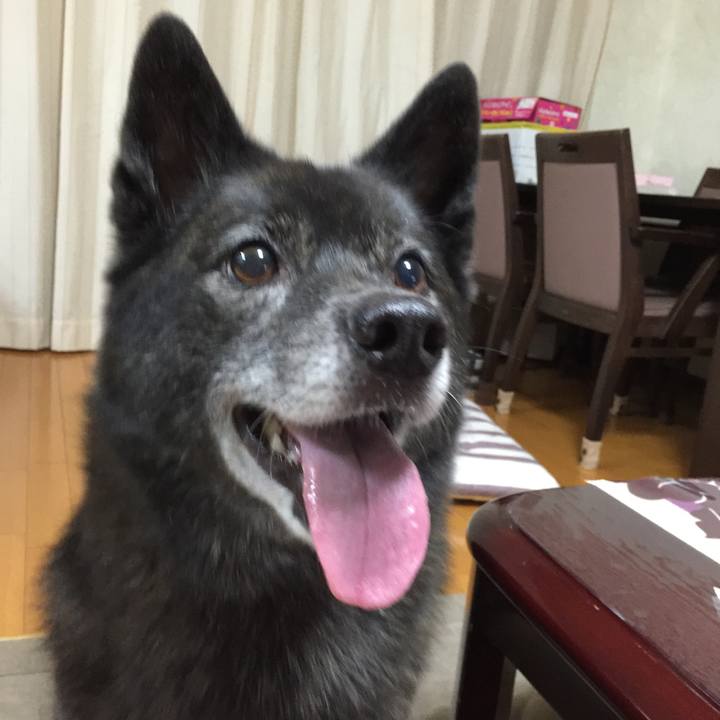 3bec9b7f 9123 4609 a8d5 86a63b4e954e