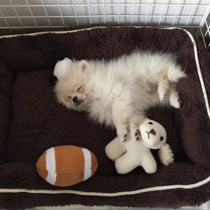 3bed2ae3 69ab 433c bfe6 f56523f430a5