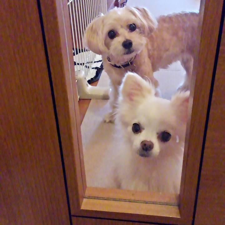 3bed725c 2850 43f0 b444 12834f5b70f8