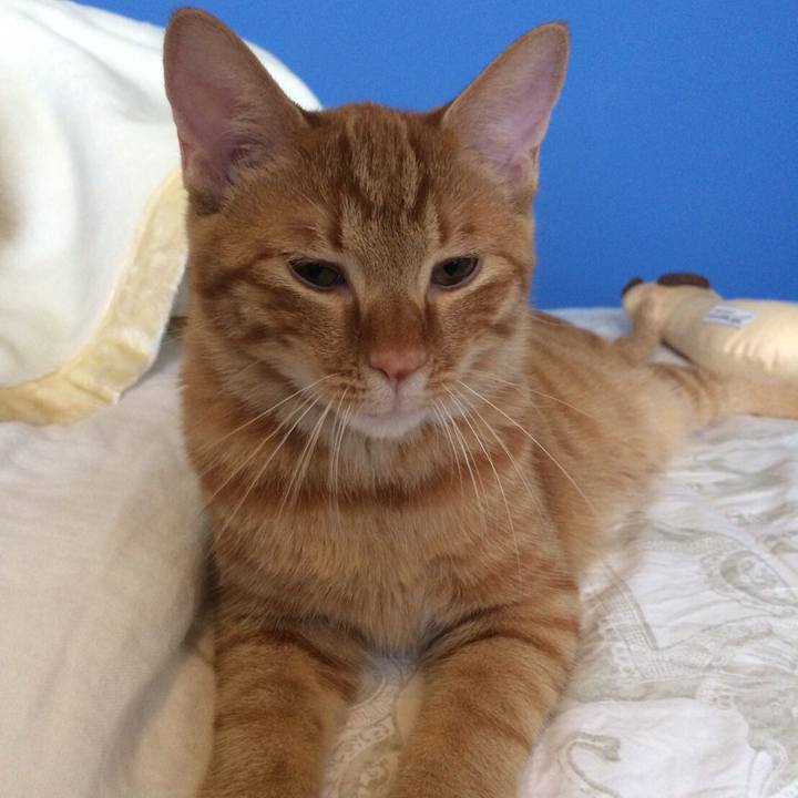 3bed985a a3c0 42c6 8353 df2d775ef4db