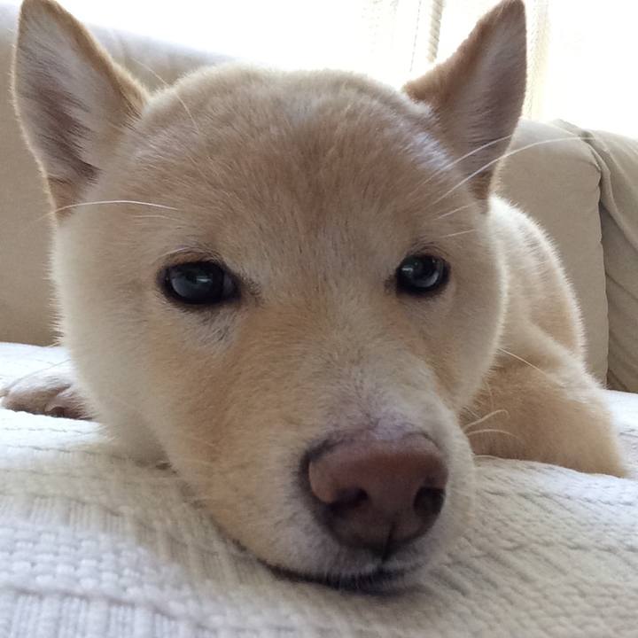 3bedb214 4cf9 406a 99a6 9614cfc62ec8