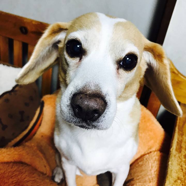 3bedc9ed bf8e 437e 83ea 0c3c0ba3e279