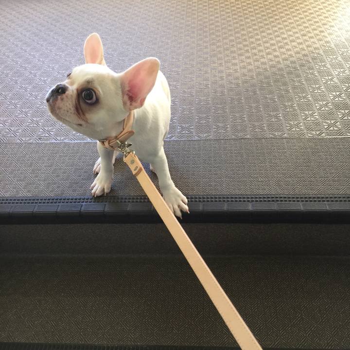 3bee1521 c753 4366 a504 1d3f844f0680