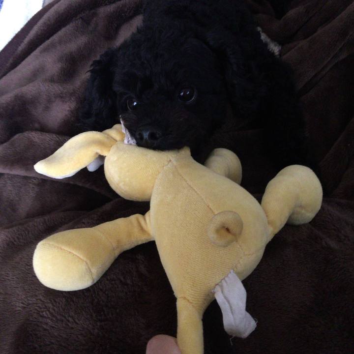 3bee34be 040c 4382 baf4 071a23c935a7