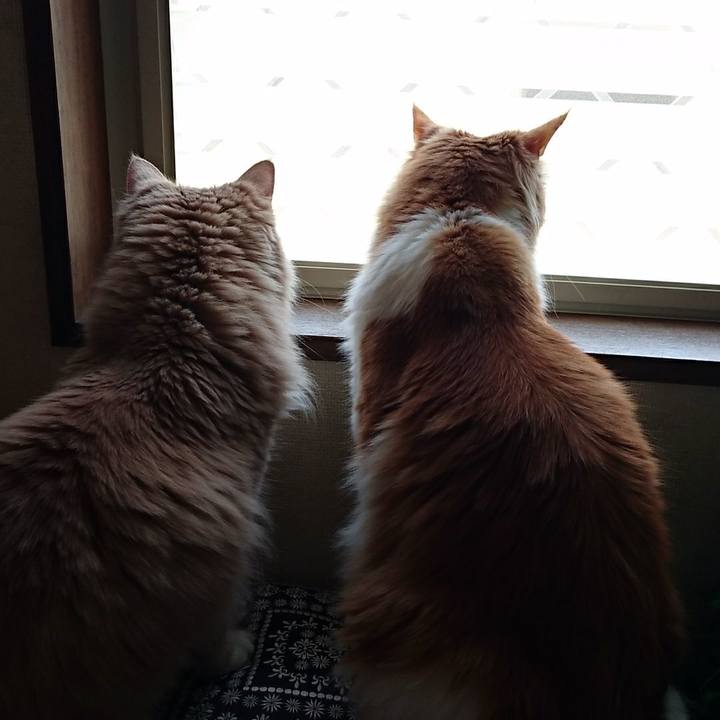 3bee6b07 d05a 4c03 abc8 997aae77961b