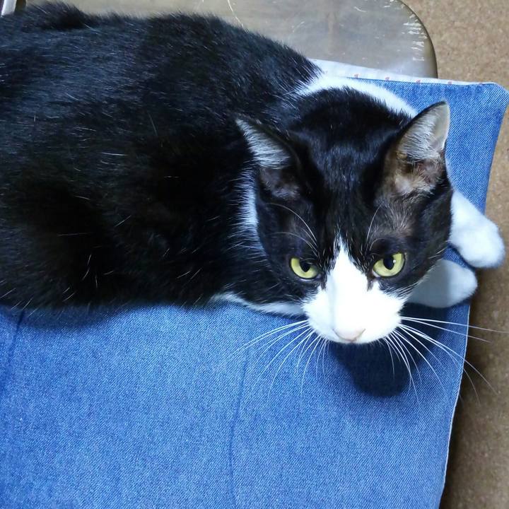 3befc748 a74b 4aac 9f13 3006047160fb