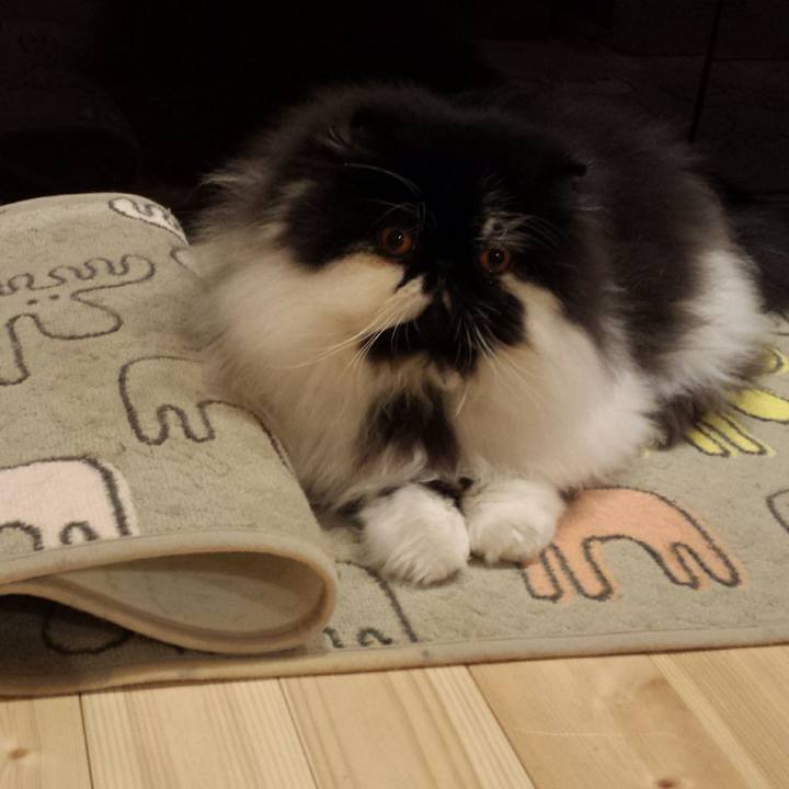 3bf0637c 215f 445d a2bb afebb55d402e