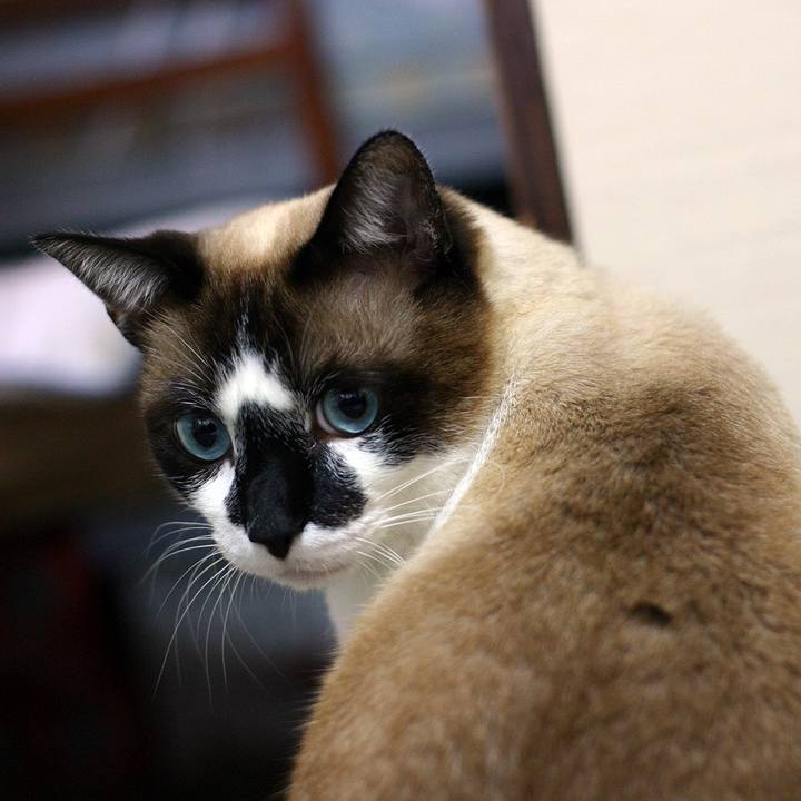 3bf074cb 5436 491d ac22 e317761f25eb