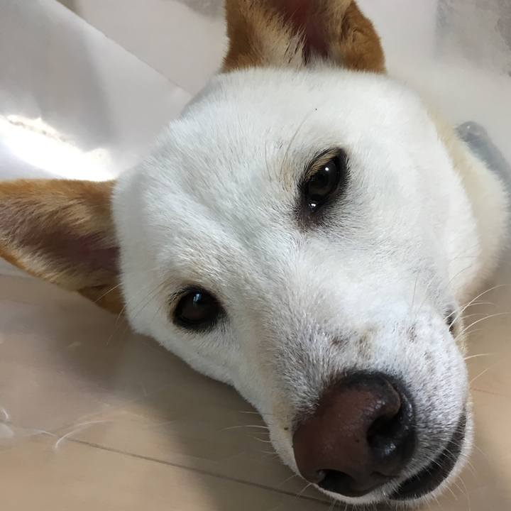 3bf1ce7e 8a5b 49ee 94d6 2c6eb963a1cb