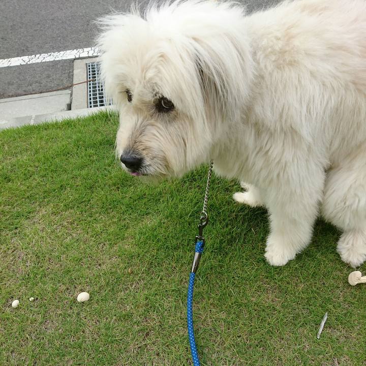 3bf2214d 908e 4d4f b128 f162bc7399c5