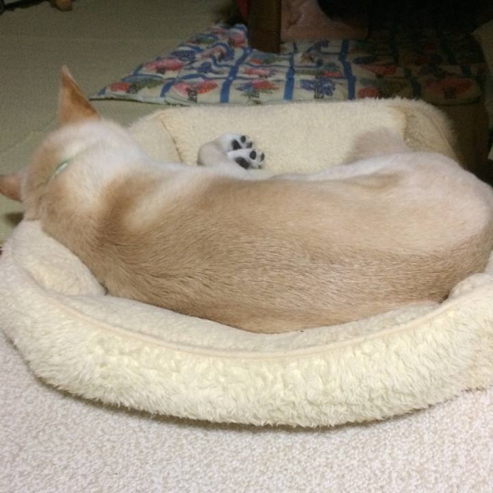 3bf24919 41a6 4056 8f65 794abd5e4be8