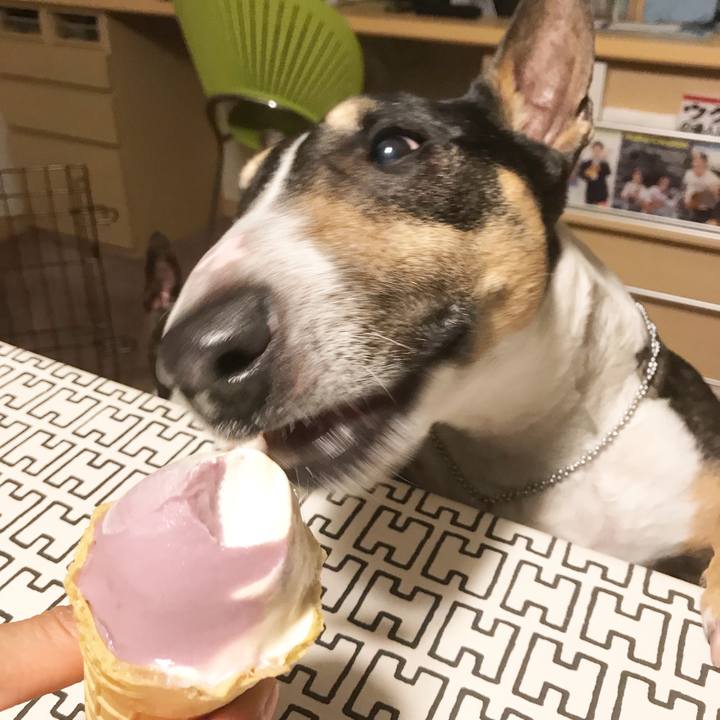 3bf2acf3 154e 477a b184 6ad7ee0966d3