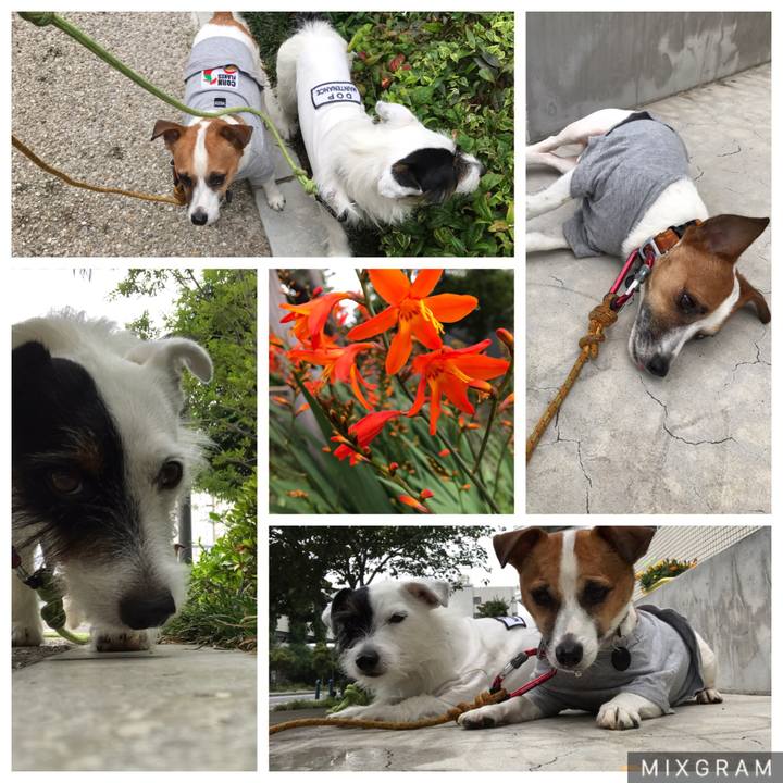 3bf2eefc d378 4492 ba63 ac675d196b91