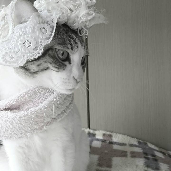 3bf36d35 d665 4e63 b526 5b6482f802d0