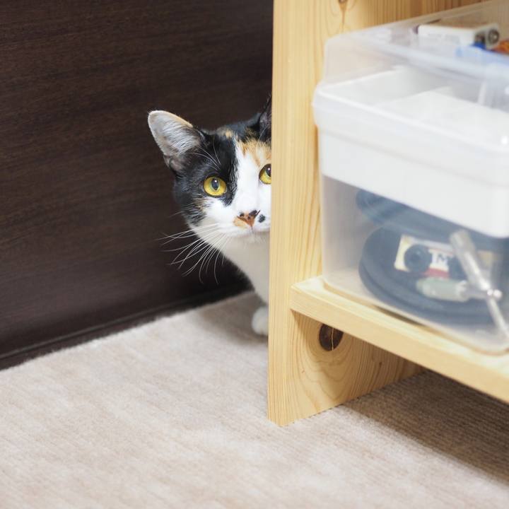 3bf38b3e 2a07 4263 aa4d 6439ba2aba35