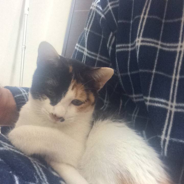 3bf38f0d c146 45c6 8829 2fdf6e34f066