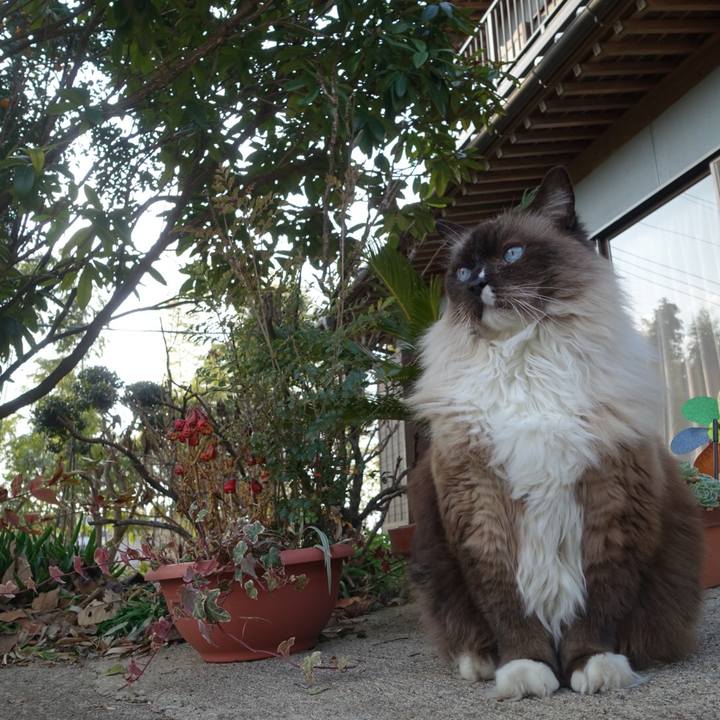 3bf3a3d1 d47e 42dd 9fec e1815fa33a0a