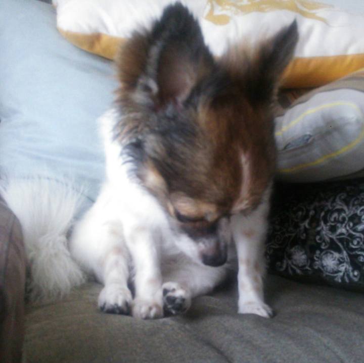 3bf3d98e 7f58 43b0 9f89 fc26599834af