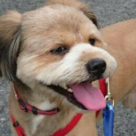 3bf4a063 16c0 4c64 aa68 fc88e91842fb