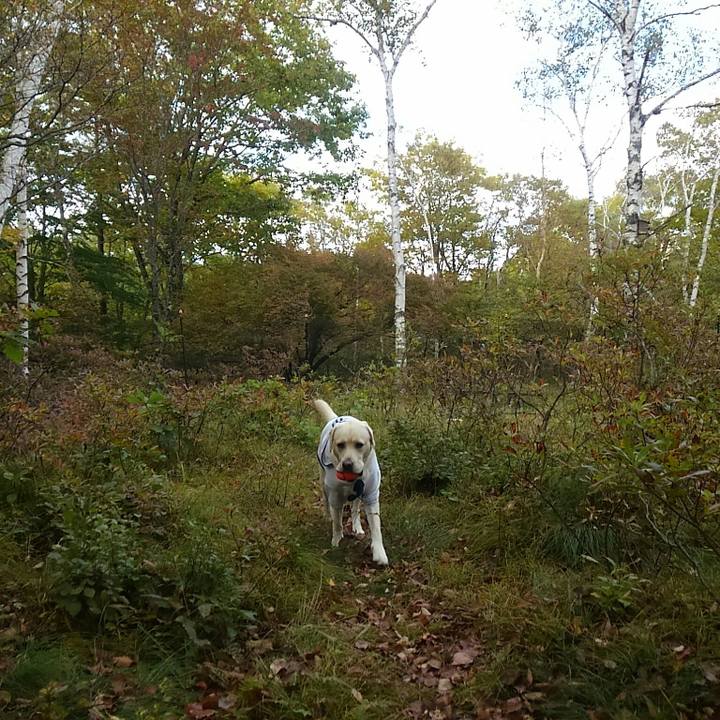 3bf4cbde 60ba 4a79 83ff 2930c0e4fa2b