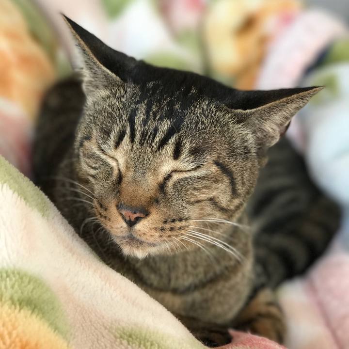 3bf51c4e e402 4695 9cd3 9496db80be5b