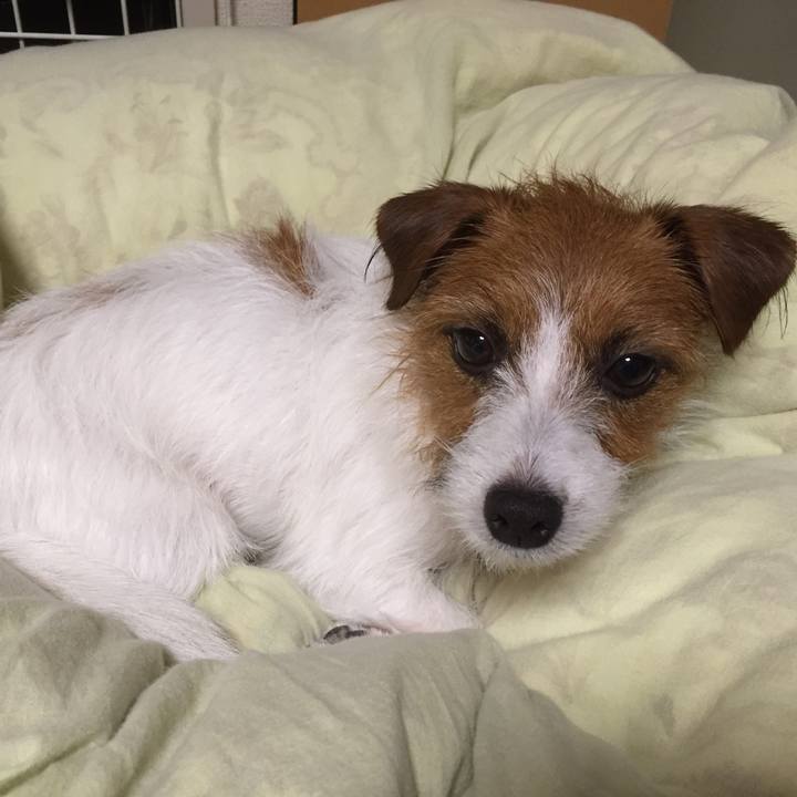 3bf524d4 ae38 46b0 8642 3ebd4ae34372