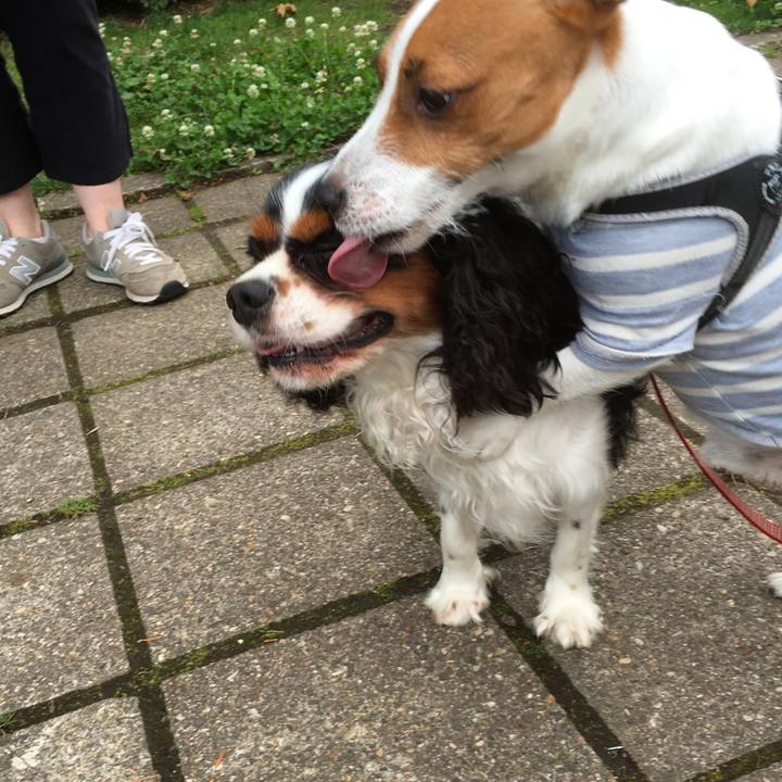 3bf571d3 e800 4277 ac9c 09e0bd6f5d11