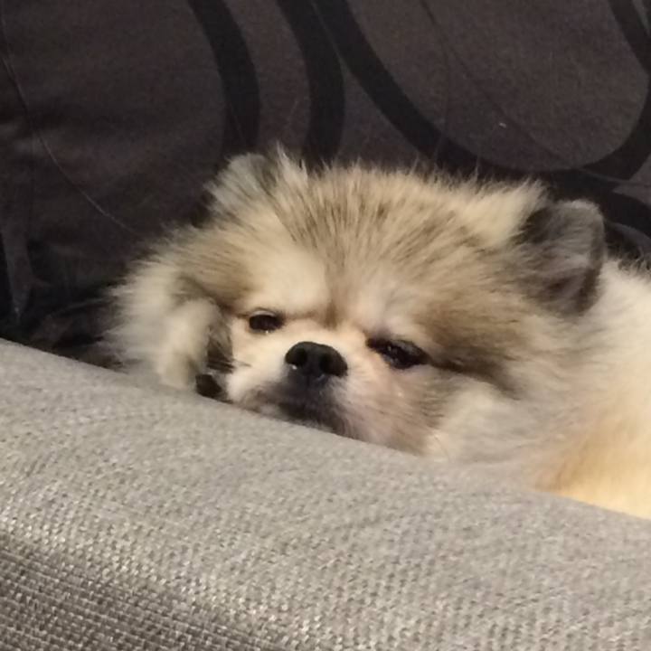 3bf5e7fb a65c 4642 8bd3 908e2fed0e6e