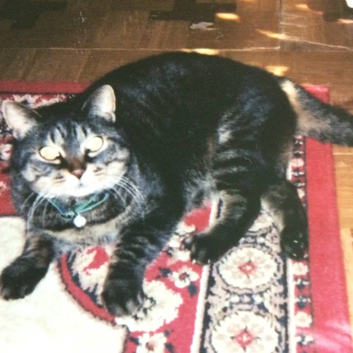 3bf5f32d 134e 4fd6 b35d cc3fdfd047ad