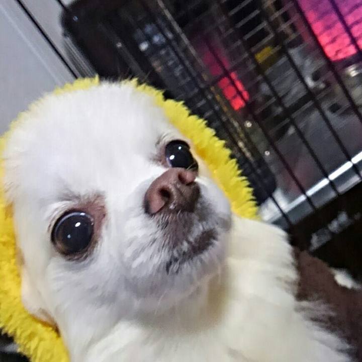 3bf61b11 5f40 4b08 a886 9c518e91e4d8