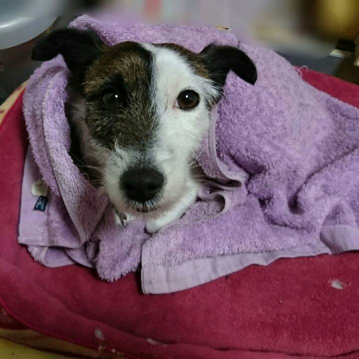 3bf61e23 dc76 483c b326 657a76b63c68