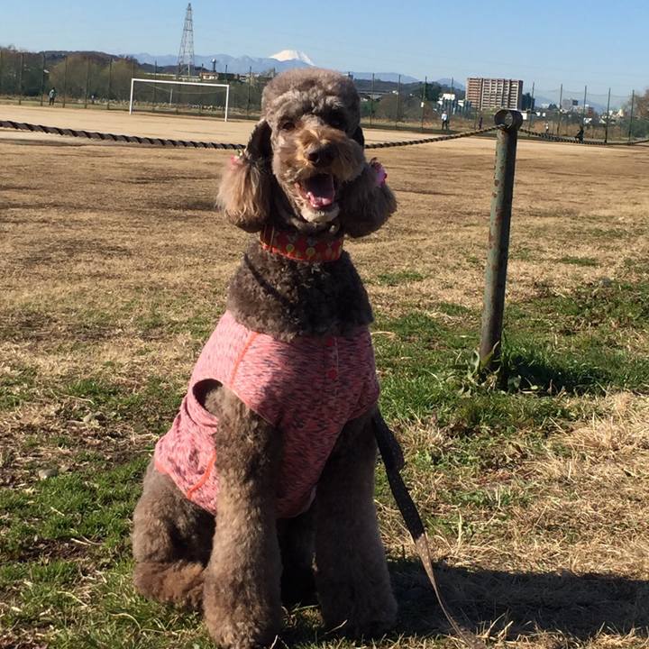 3bf6e836 cd70 4c5a a0de f70db5c46f0b