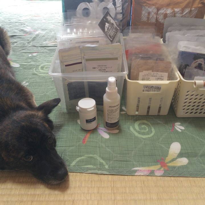 3bf72d15 dbae 417b 9898 56f8e0ea5eb4