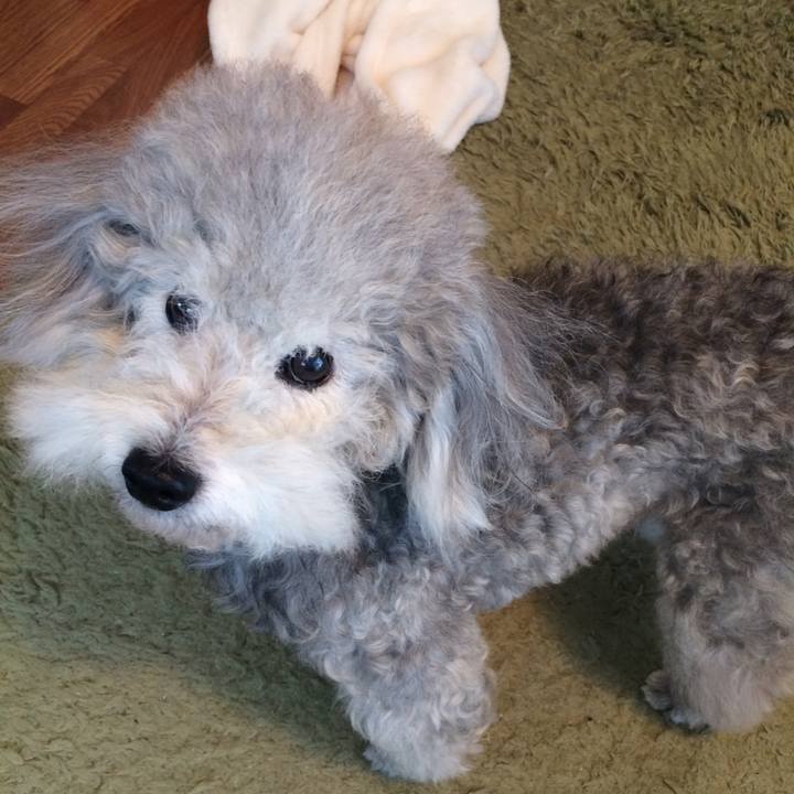 3bf73398 359f 4f63 a632 4ab9df5e099d