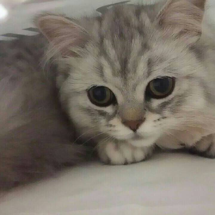 3bf7d991 c3ef 4e4d b21f 0a4944887209