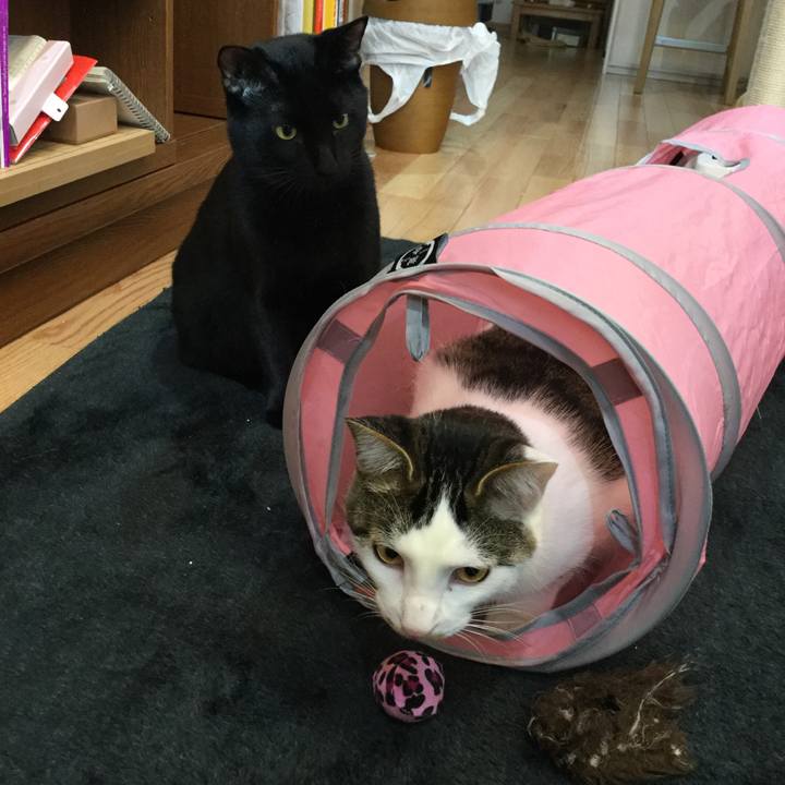 3bf81764 affb 4bf1 b47b d4180fb866bb