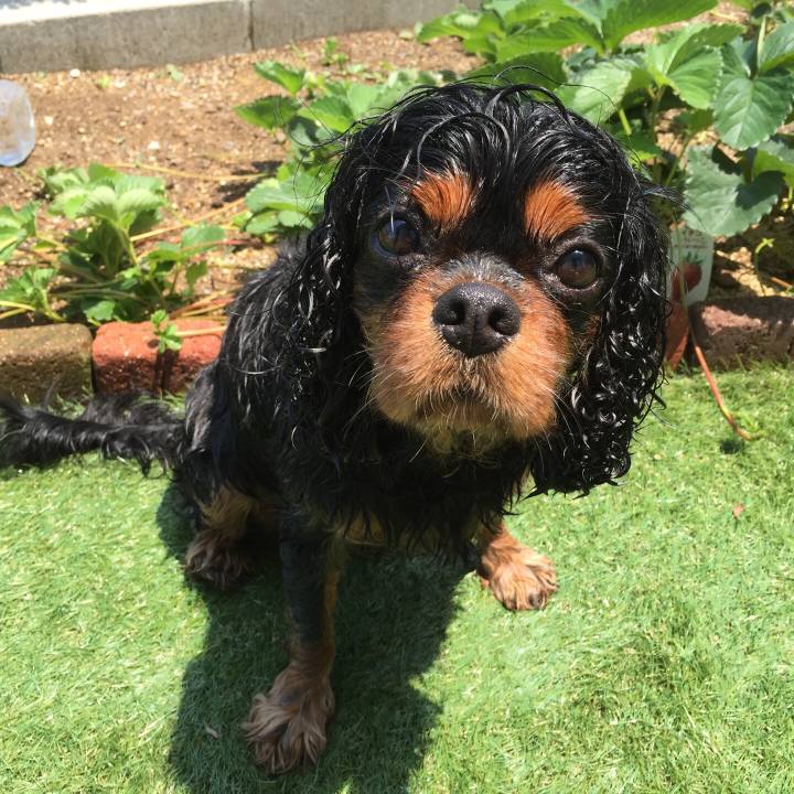 3bf873fd 8a3f 4233 b500 5494e375ed05