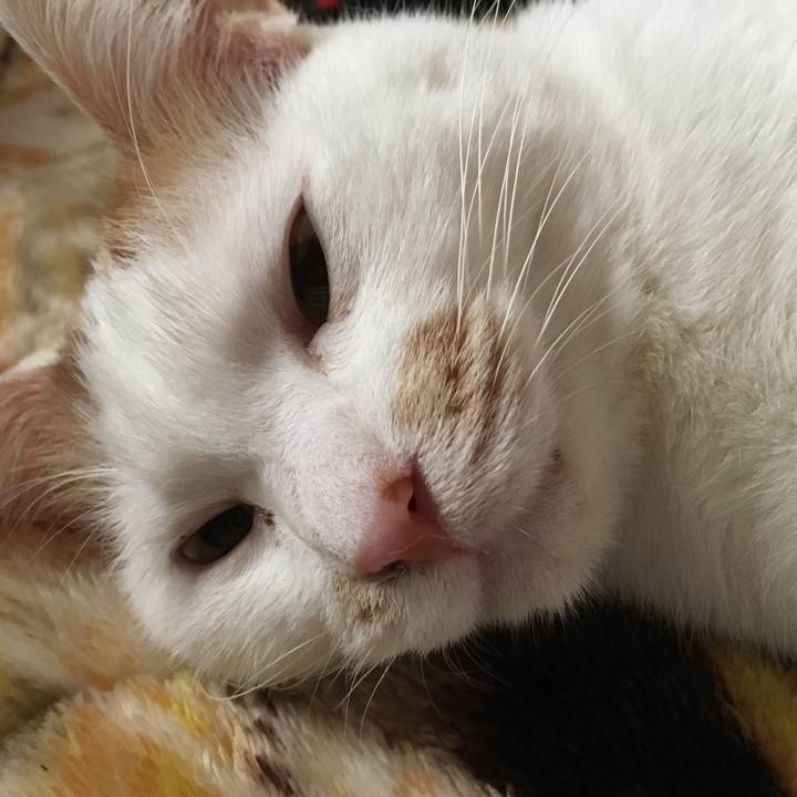 3bf886c3 0a3a 4e35 92ca bd385df60452