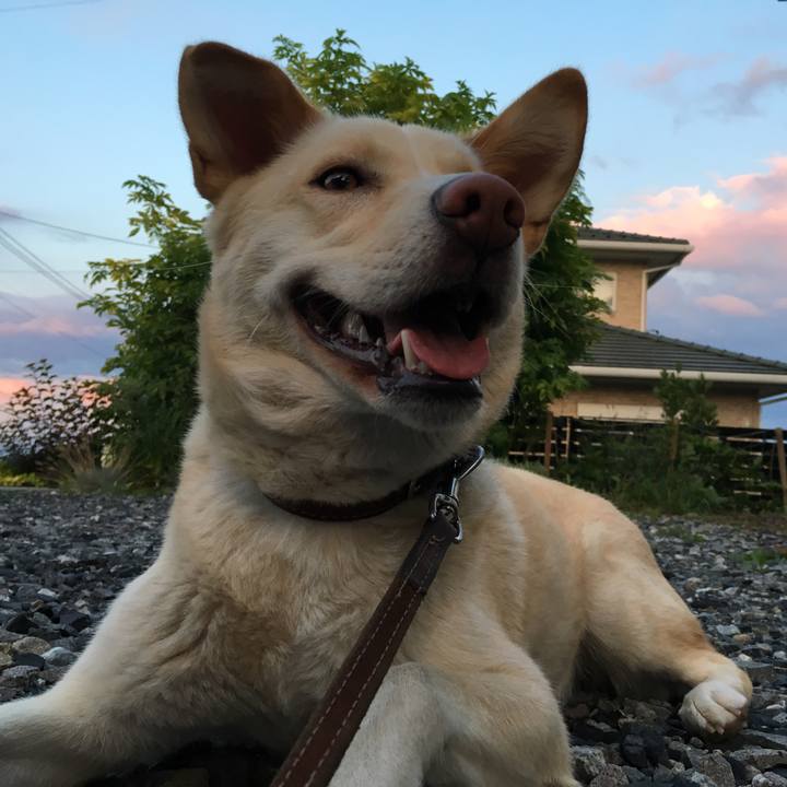 3bf8b780 69b0 44fa b49a 97a8f7946aca