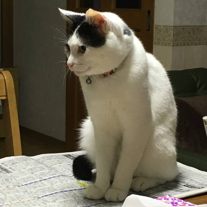 3bf8c606 0aeb 4fb5 864b 18acd915a752