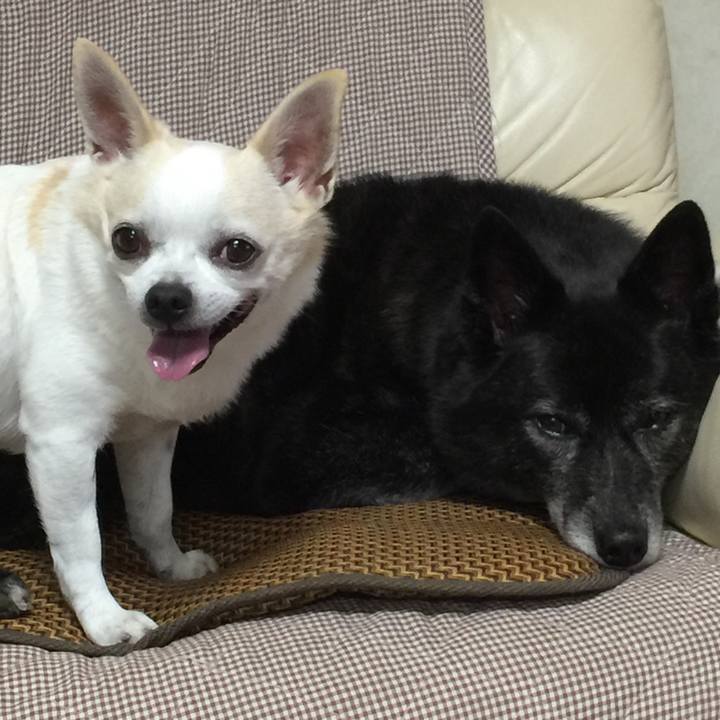 3bf8fb41 d1aa 4493 8a24 1080a6e3d1f5