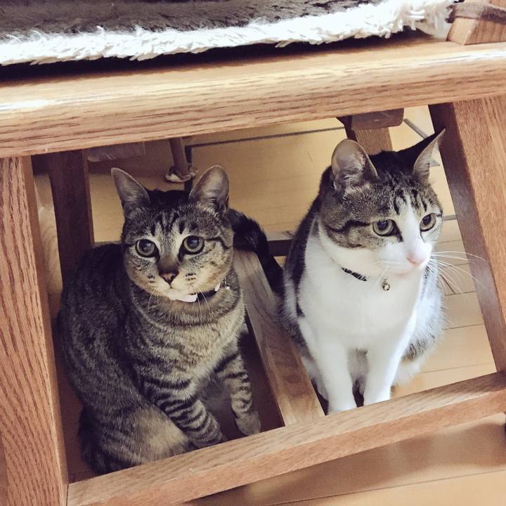 3bf92a4e 761b 4e32 bebc 9489c52c8d30