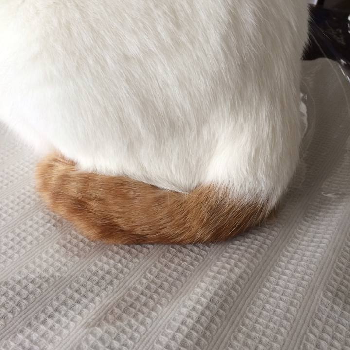 3bf982ef f816 4134 882c 7e86cfa450e2