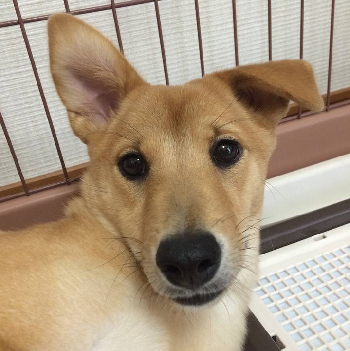 3bf9cd3f d68b 46a3 b9ed 9ac37dc3ad79