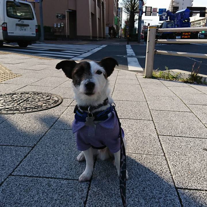 3bfa3a74 f48c 45fb 87a1 cf9e788dd9f6