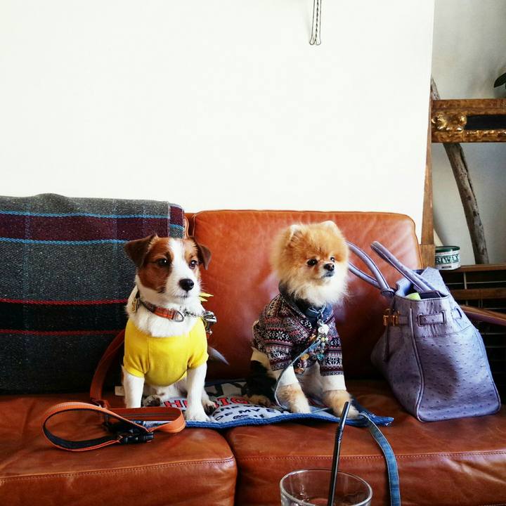 3bfa6f65 a355 4a92 b4a5 a8038ffe778d