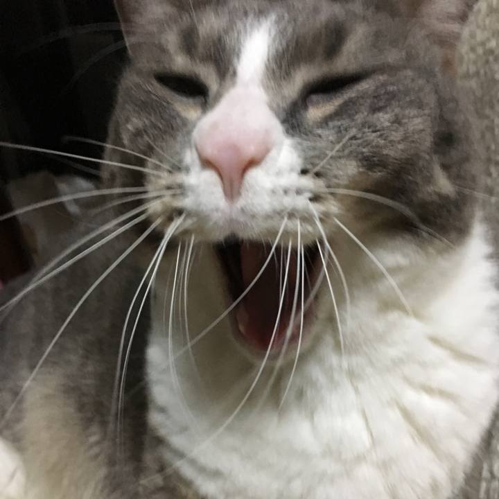 3bfac2b3 fed2 4ebb ba10 7fce30a04ac4