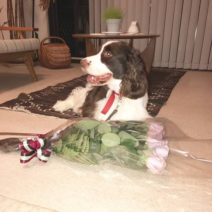 3bfae583 8db4 45b6 a414 b86e5425251d