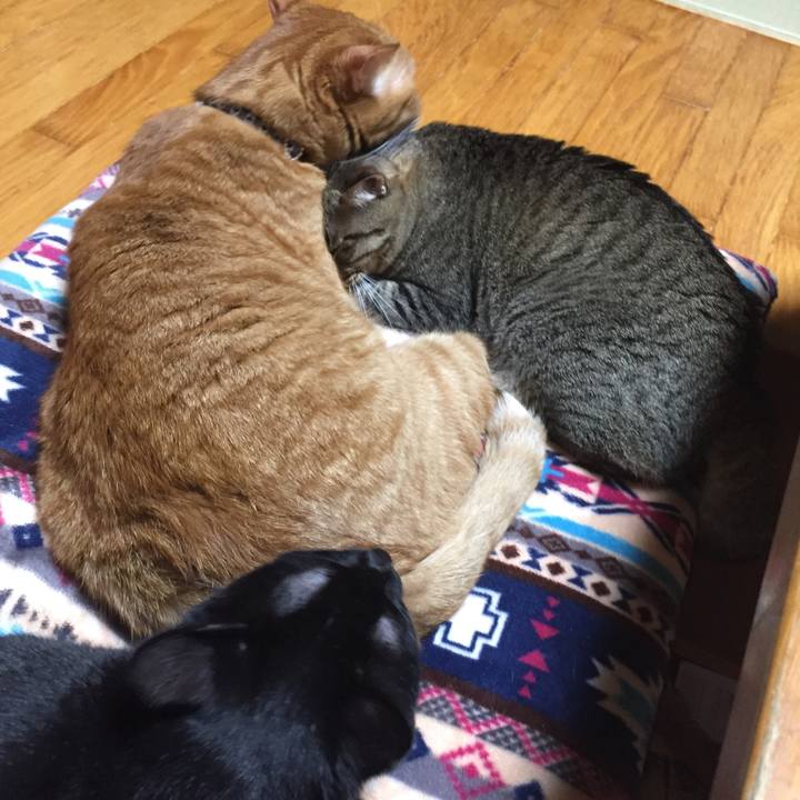 3bfb434f 3e03 4c7b 8f17 be1f1518659b