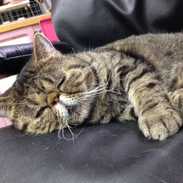 3bfbba80 425f 488a aa63 664e9463b783